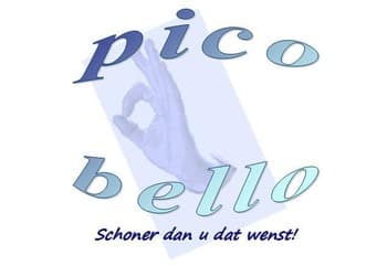Picobello Cleaning logo